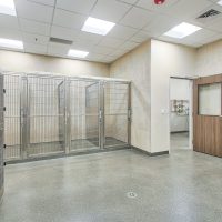 Dog Ward at BluePearl Tacoma Pet Hospital General Contractor GC MCC Metro Construction Corp