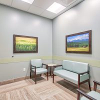 Comfort Room at BluePearl Tacoma Pet Hospital General Contractor GC MCC Metro Construction Corp